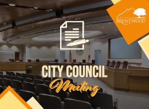 City Council Meeting Thumbnails