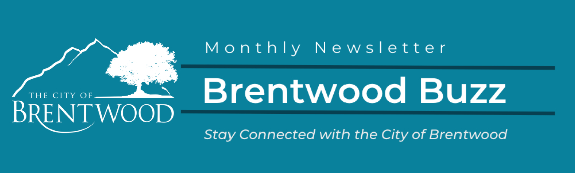Brentwood Buzz Banner