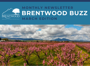 March 2024 Brentwood Buzz Thumbnail