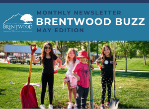 Brentwood Buzz - May 2024 Edition